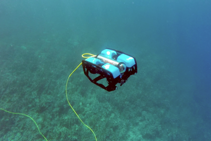 rov